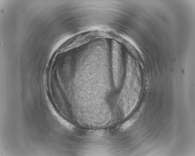 X0000066090991200603241452