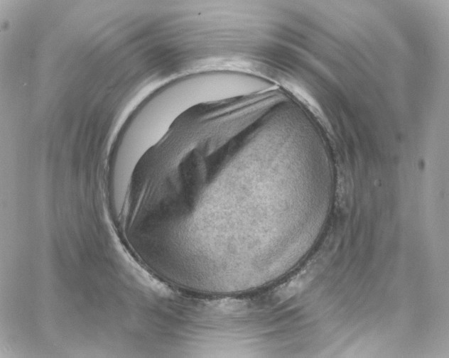 X0000066090992200603241452