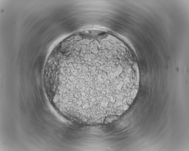 X0000066090995200603241452