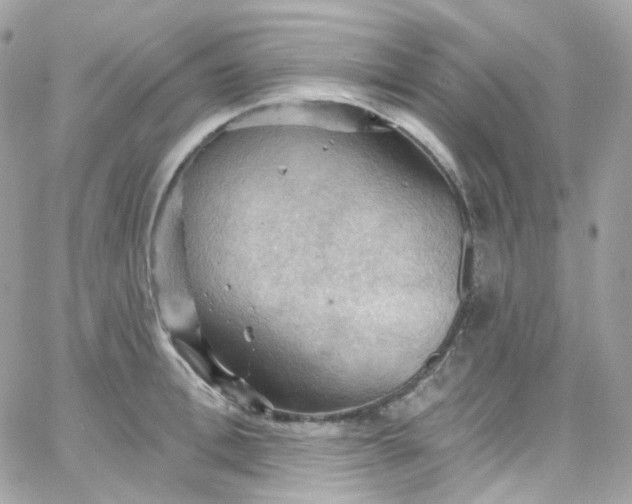 X0000066090996200603241452