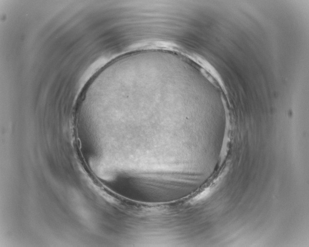 X0000066090997200603241452