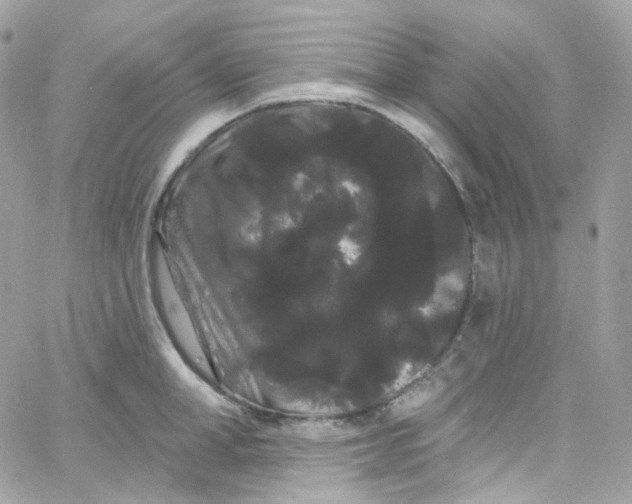 X0000066090998200603241452