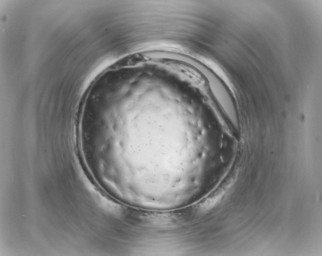 X0000066090999200603241452