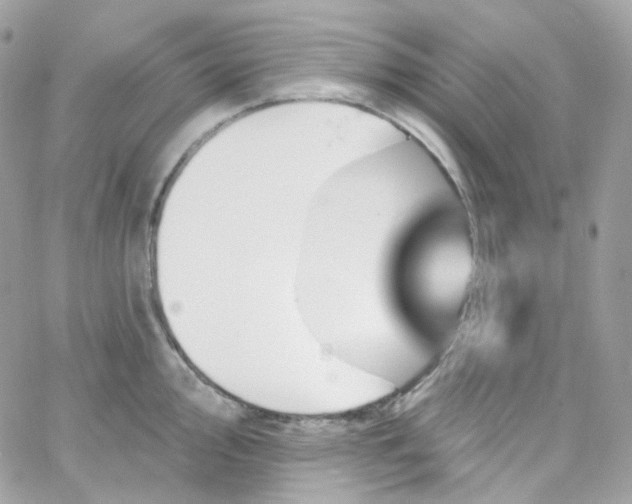 X0000066091000200603241452