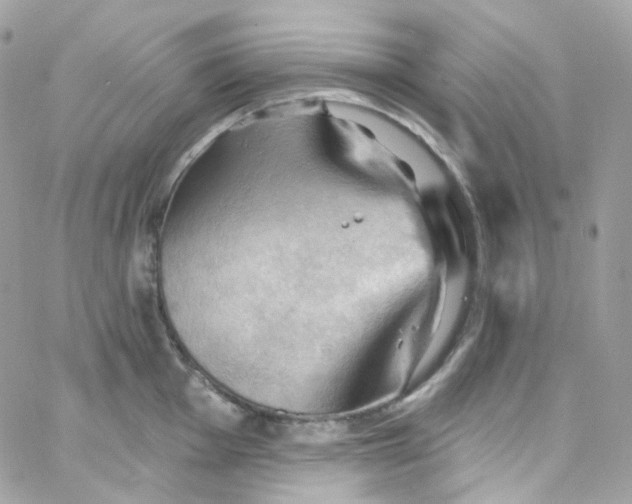 X0000066091001200603241452