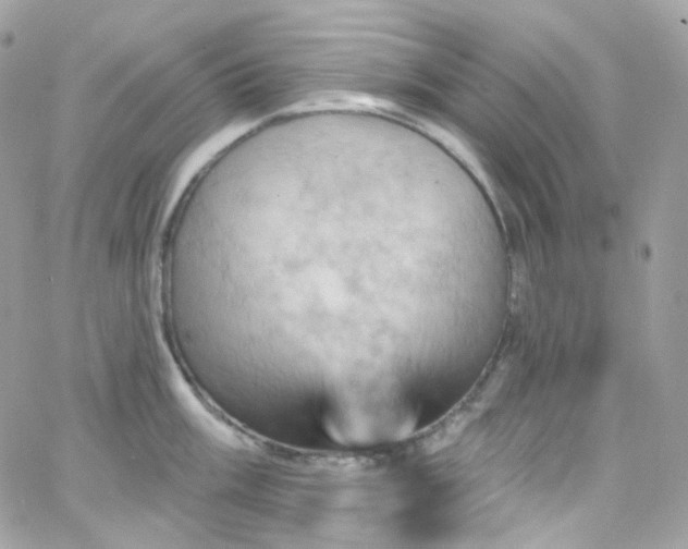 X0000066091003200603241452