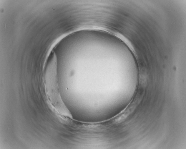 X0000066091004200603241452