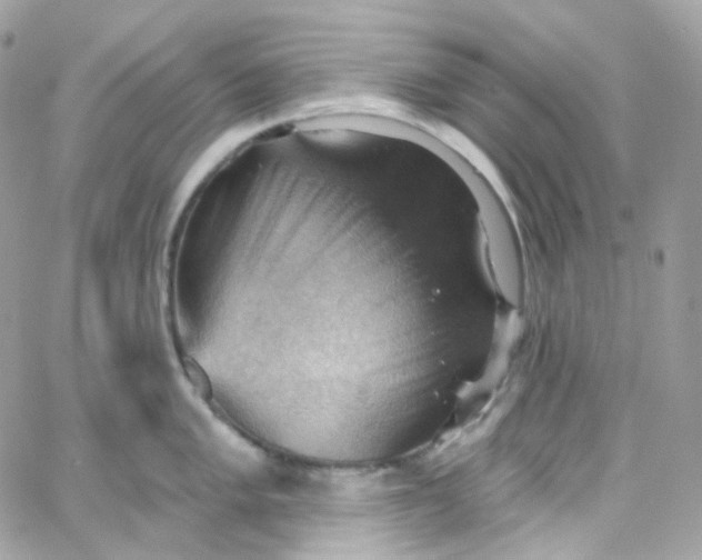 X0000066091005200603241452