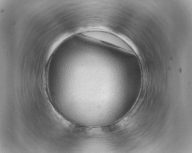 X0000066091006200603241452