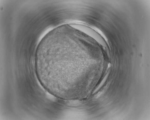 X0000066091007200603241452