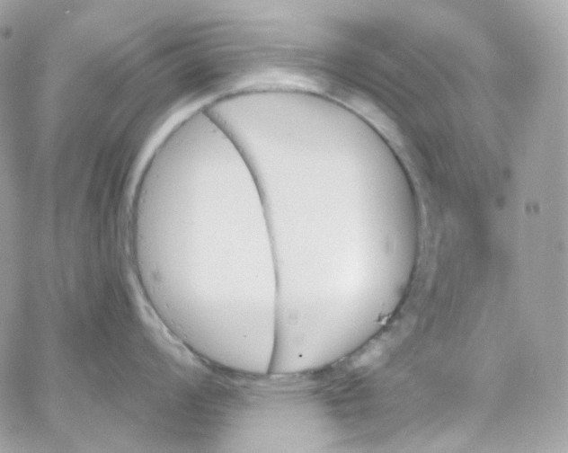 X0000066091008200603241452