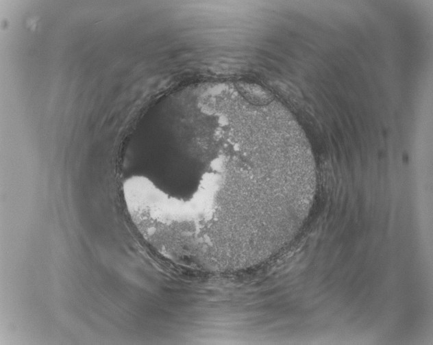 X0000066091009200603241451