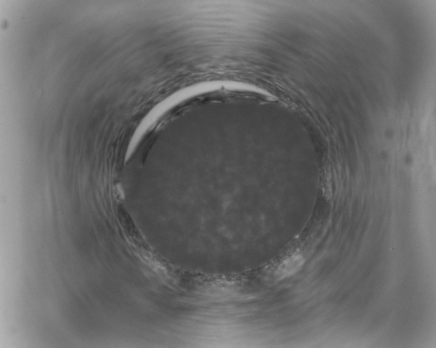 X0000066091010200603241451