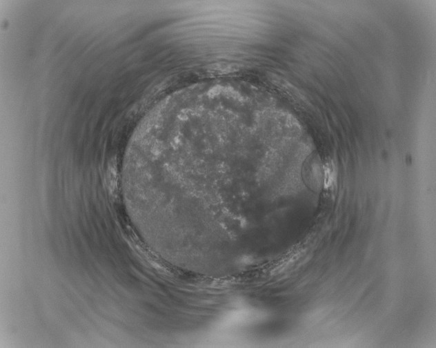 X0000066091011200603241451