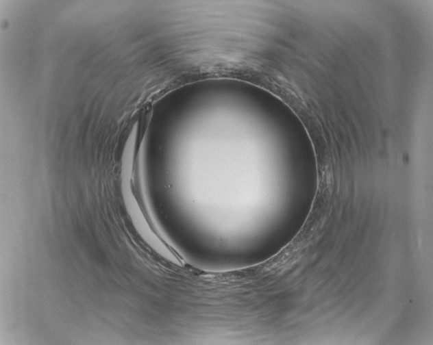 X0000066091012200603241451