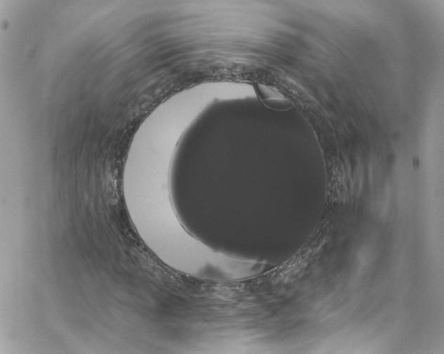 X0000066091013200603241451