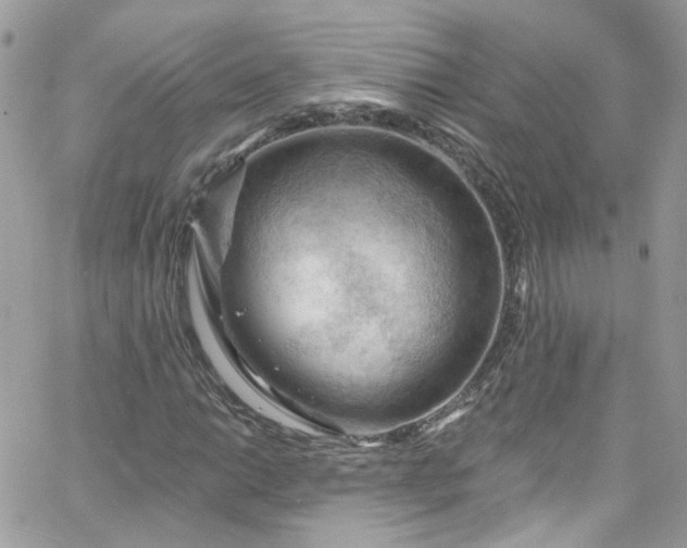 X0000066091014200603241451