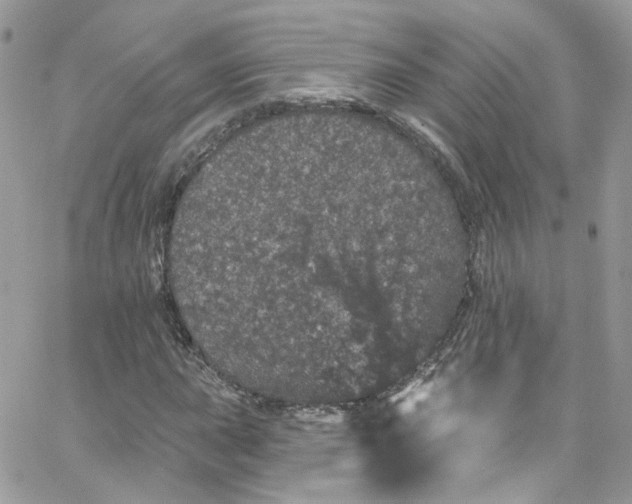 X0000066091015200603241451