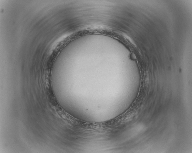 X0000066091016200603241451