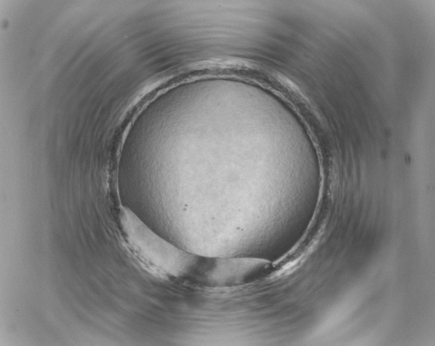 X0000066091017200603241451