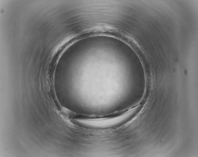 X0000066091018200603241451