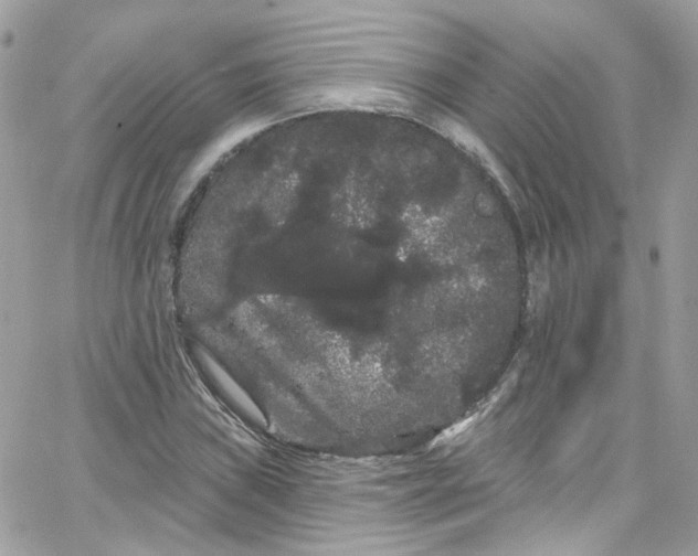 X0000066091019200603241451