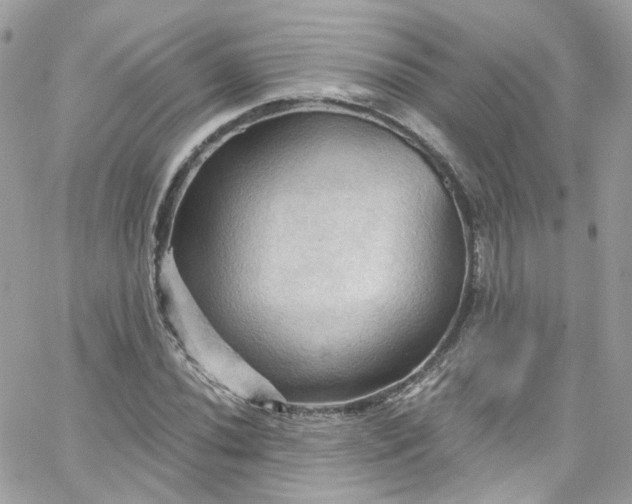 X0000066091020200603241451