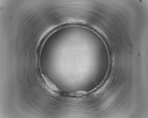 X0000066091021200603241451