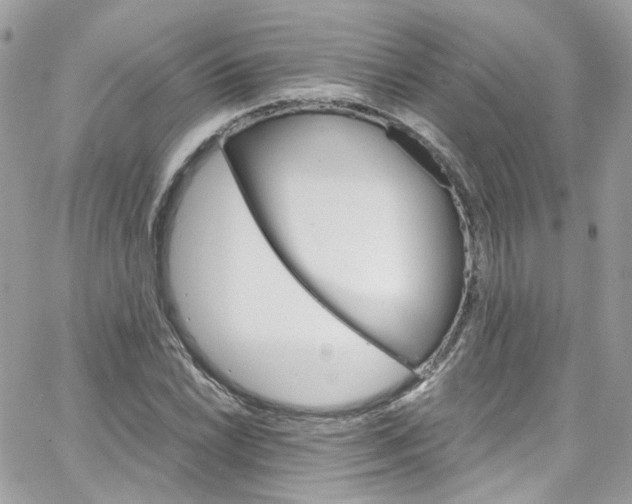 X0000066091022200603241451