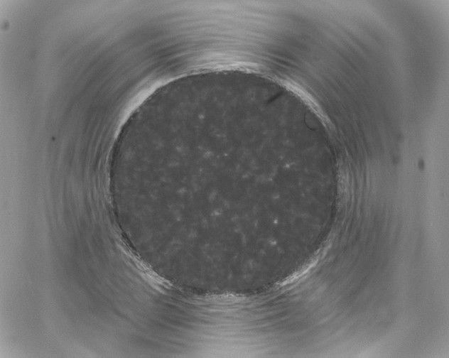 X0000066091023200603241451