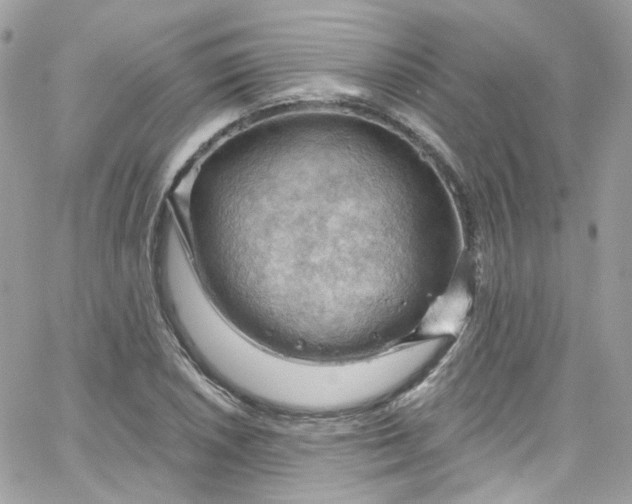 X0000066091026200603241452