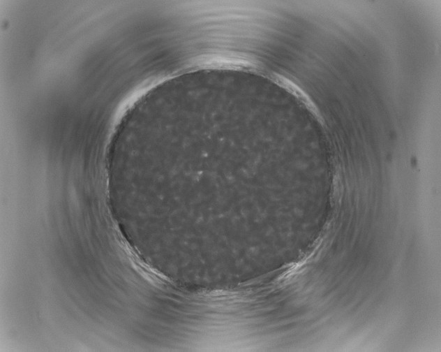 X0000066091027200603241452