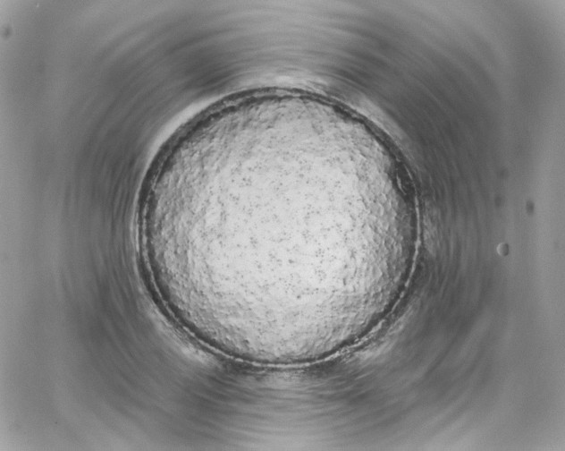 X0000066091028200603241452