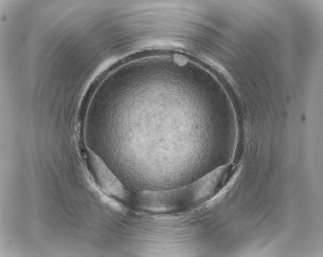 X0000066091029200603241452