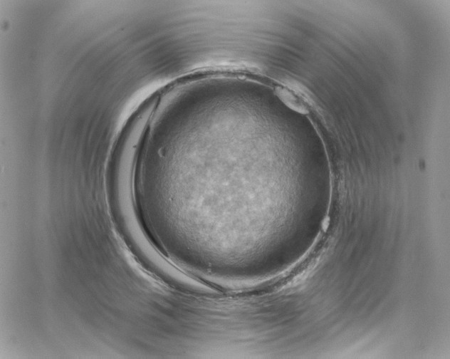 X0000066091030200603241452