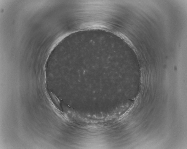 X0000066091031200603241452