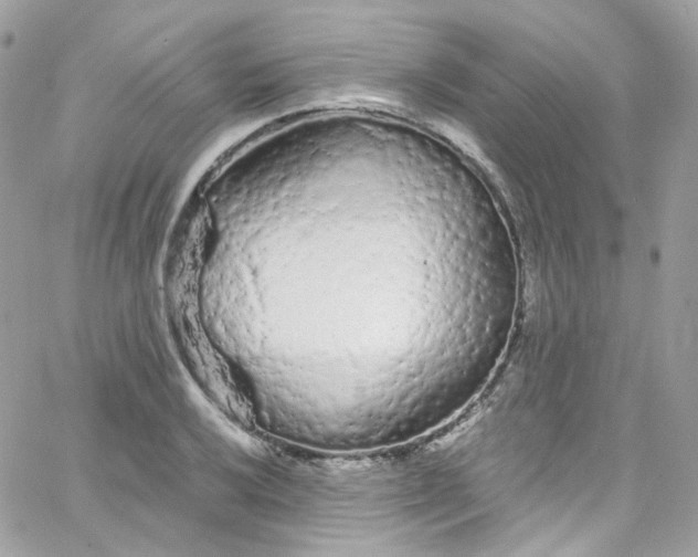 X0000066091032200603241452