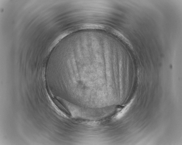 X0000066091033200603241452