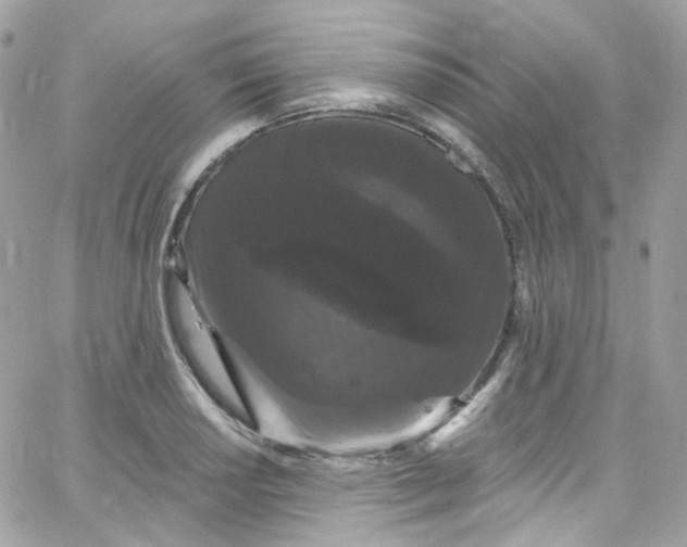 X0000066091034200603241452