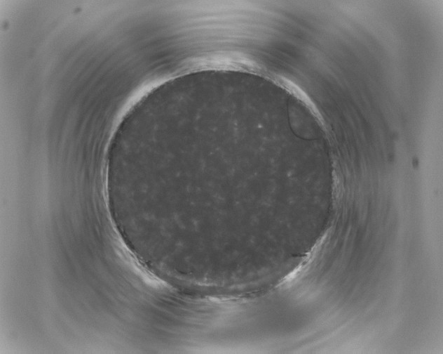 X0000066091035200603241452