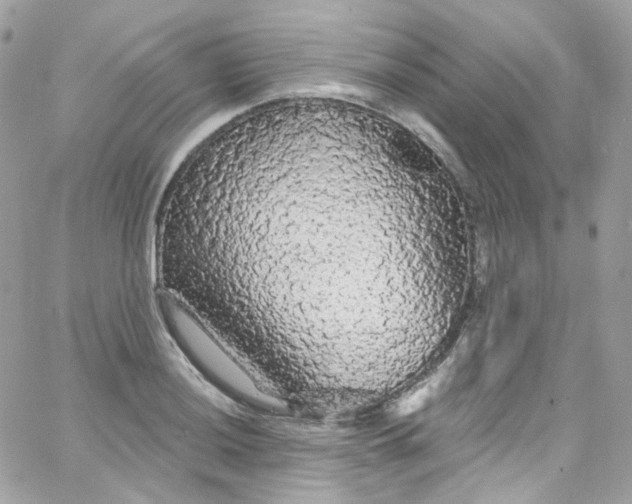 X0000066091036200603241452