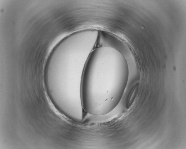 X0000066091038200603241452