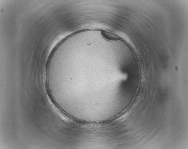 X0000066091040200603241452