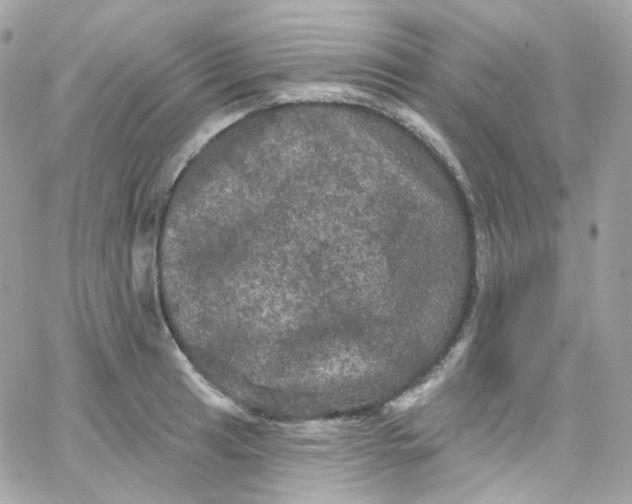 X0000066091041200603241452