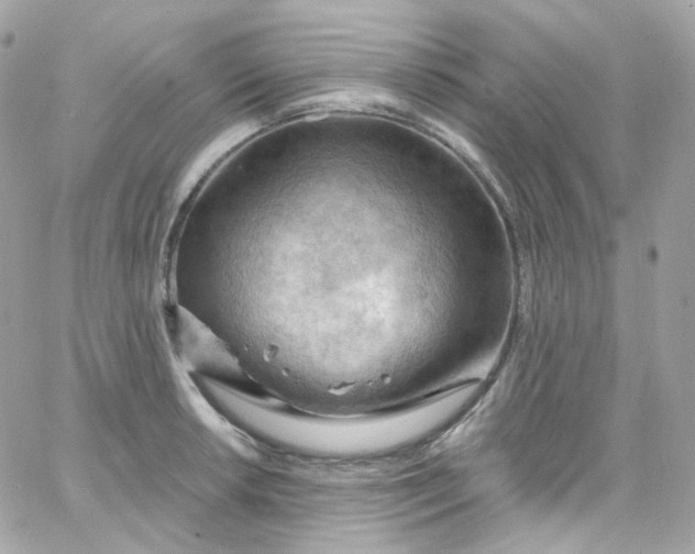 X0000066091042200603241452