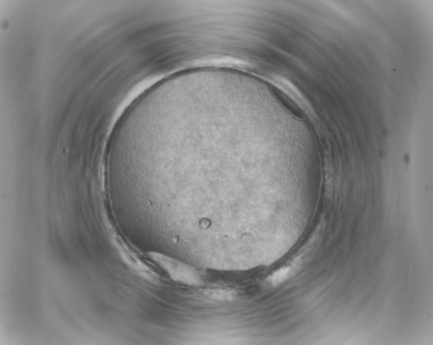 X0000066091044200603241452