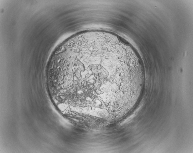 X0000066091045200603241452