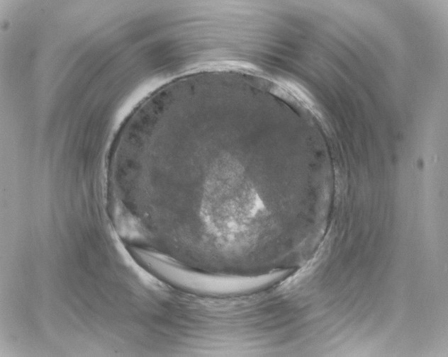 X0000066091046200603241452