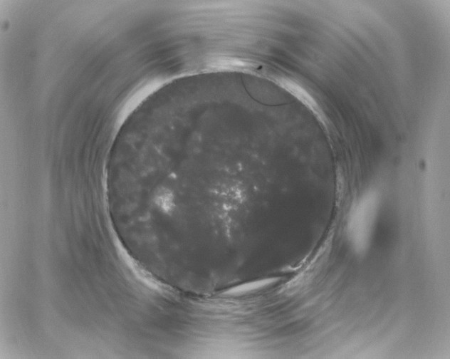 X0000066091047200603241452