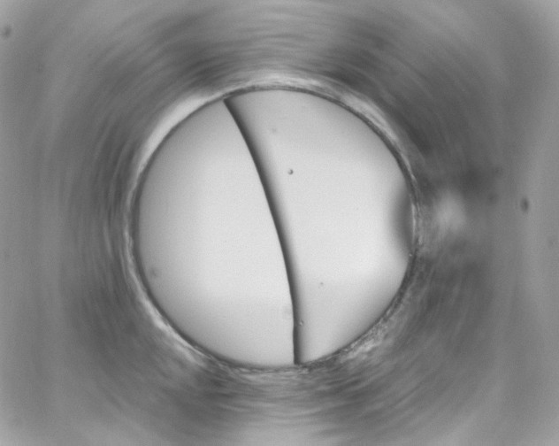 X0000066091048200603241452